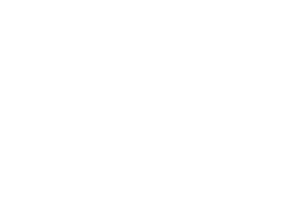 le_qg